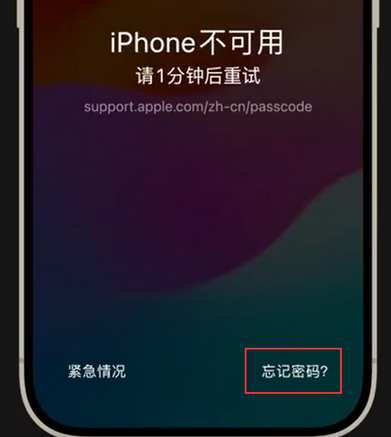 丹巴苹果手机密码维修分享iPhone忘记了刚设置的密码 