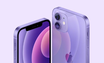 丹巴苹果手机维修分享紫色版iPhone 12有什么技术亮点 